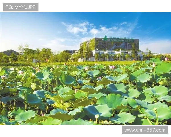 碳中和发展目标：意甲联赛绿色运营路线图制定